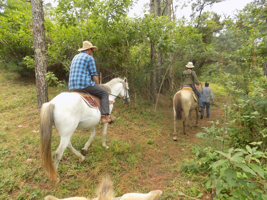 Rancho Hostal La Escondida Eco Park Teopisca Екстер'єр фото