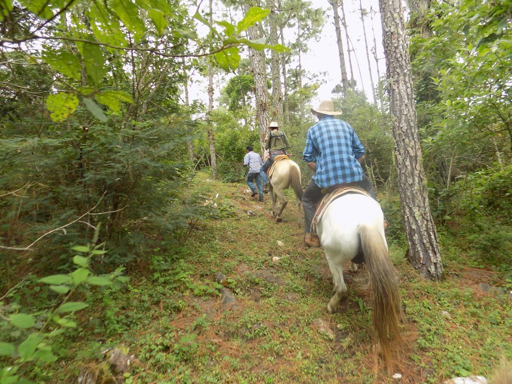 Rancho Hostal La Escondida Eco Park Teopisca Екстер'єр фото