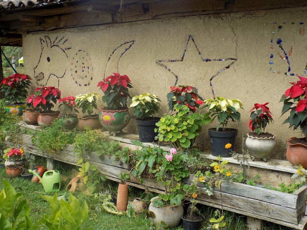 Rancho Hostal La Escondida Eco Park Teopisca Екстер'єр фото